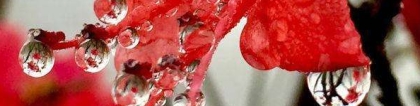 斩烂桃花：过来告诉你几个风水斩小三最毒方法